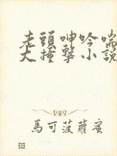 老头呻吟喘息硕大撞击小说封面