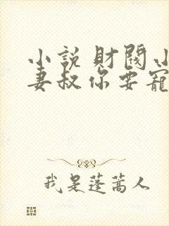 小说 财阀小娇妻叔你要宠坏我