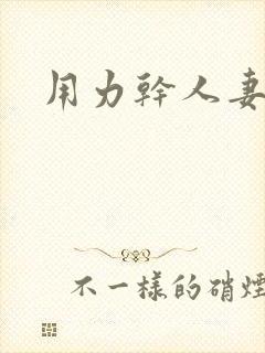 用力干人妻小说封面