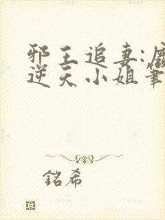 邪王追妻:废材逆天小姐笔趣阁封面