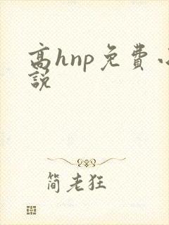 高hnp免费小说封面