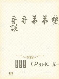 哥哥弟弟双性小说