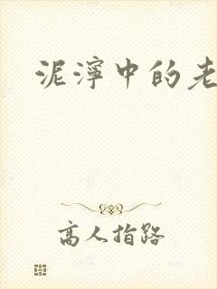 泥泞中的老虎封面