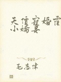 夭价宠婚霍总的小娇妻