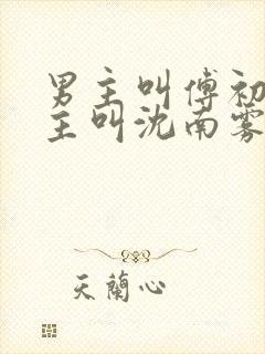 男主叫傅初安女主叫沈南雾的小说