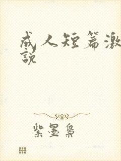 成人短篇激情小说