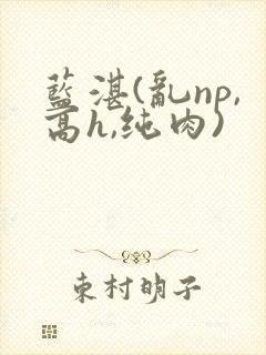 蓝湛(乱np,高h,纯肉)