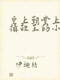 皇上朝堂上含着摄政王的小说封面