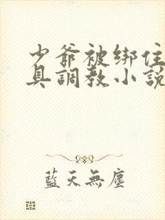 少爷被绑住用刑具调教小说