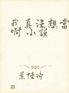 我真没想当皇帝啊 小说封面