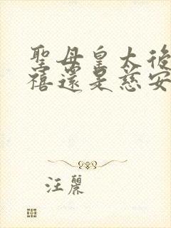 圣母皇太后是慈禧还是慈安封面