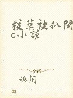 校草被扒开腿狂c小说