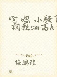 啊 嗯 小骚货 调教sm高h文