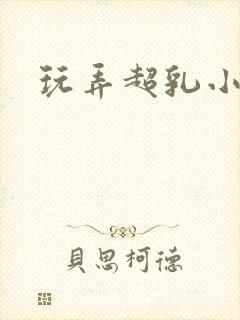 玩弄超乳小说