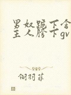 男奴跪下含着男主人胯下gv