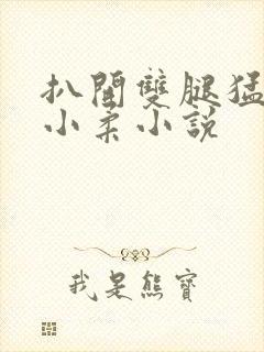 扒开双腿猛进入小柔小说