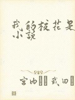 我的校花是姐姐小说