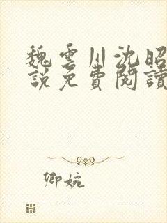 魏云川沈昭禾小说免费阅读笔趣阁