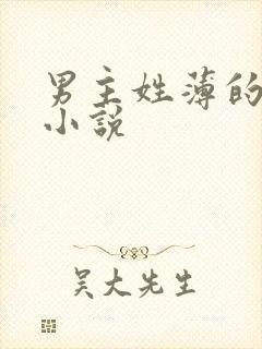 男主姓薄的总裁小说封面