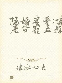 隐婚蜜爱:偏执老公宠上瘾 txt封面