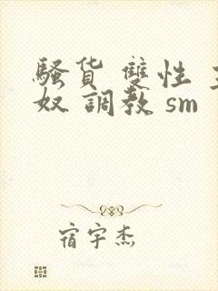 骚货 双性 主奴 调教 sm封面