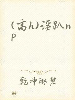 (高h)淫趴np
