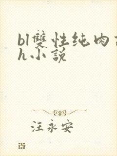 bl双性纯肉高h小说
