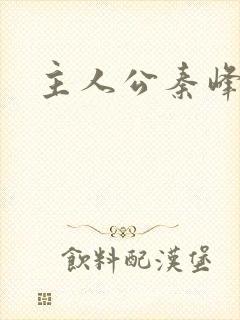 主人公秦峰小说封面