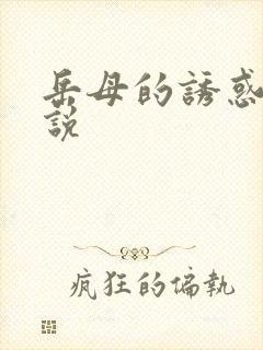 岳母的诱惑 小说封面