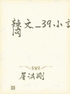 辣文_39小说网