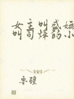 女主叫盛妩男主叫司烨的小说封面