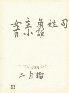 女主角姓司的所有小说封面