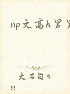 np文高h男男