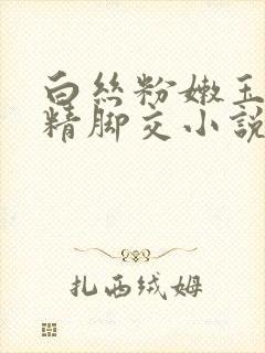 白丝粉嫩玉足夹精脚交小说封面