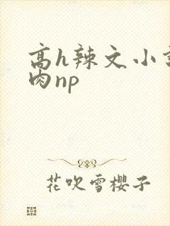 高h辣文小说纯肉np