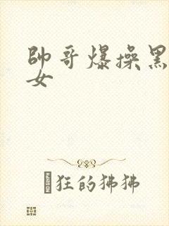 帅哥爆操黑丝美女