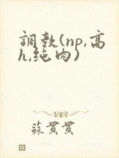调教(np,高h,纯肉)封面