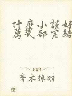 什么小说好看推荐几部完结的言情封面