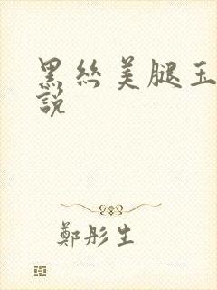 黑丝美腿玉足小说封面
