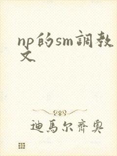 np的sm调教文