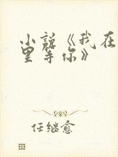 小说《我在回忆里等你》封面