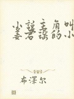 小说主角叫叶楚姜君瑶的小说