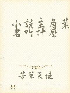 小说主角叶辰书名叫什么