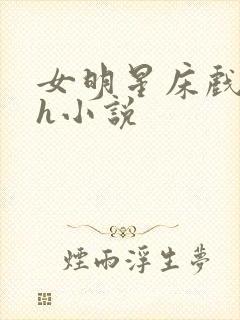 女明星床戏调教h小说封面