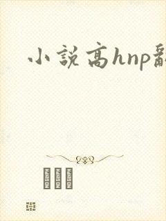 小说高hnp乱