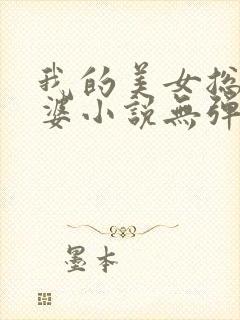 我的美女总裁老婆小说无弹窗