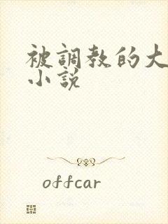 被调教的大小姐小说封面