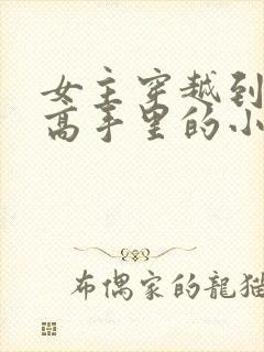 女主穿越到灌篮高手里的小说