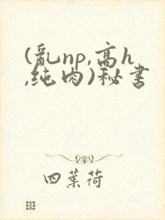 (乱np,高h,纯肉)秘书