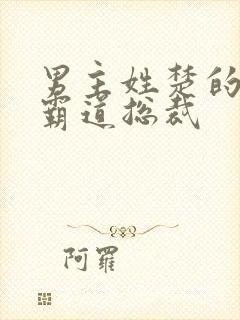 男主姓楚的小说霸道总裁